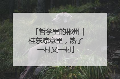 哲学里的郴州｜桂东凉意里，热了一村又一村