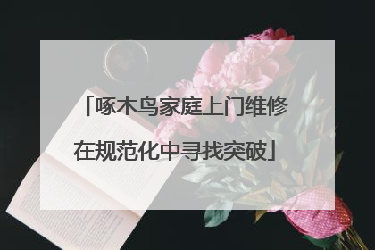 啄木鸟家庭上门维修在规范化中寻找突破