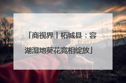 商视界丨柘城县：容湖湿地葵花竞相绽放