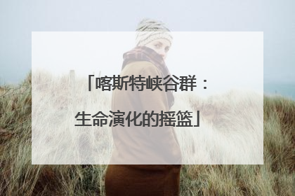 喀斯特峡谷群：生命演化的摇篮