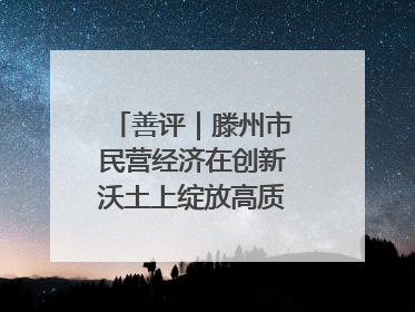 善评｜滕州市民营经济在创新沃土上绽放高质量发展之花