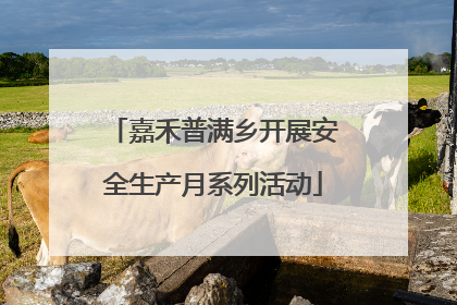 嘉禾普满乡开展安全生产月系列活动