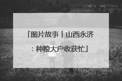 图片故事丨山西永济：种粮大户收获忙