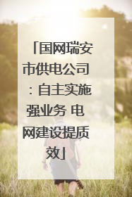 国网瑞安市供电公司：自主实施强业务 电网建设提质效