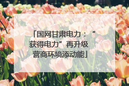国网甘肃电力：“获得电力”再升级 营商环境添动能