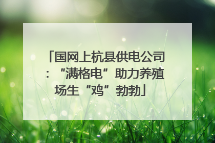 国网上杭县供电公司：“满格电”助力养殖场生“鸡”勃勃