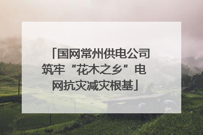 国网常州供电公司筑牢“花木之乡”电网抗灾减灾根基