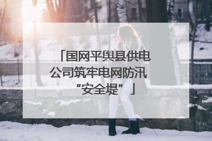 国网平舆县供电公司筑牢电网防汛“安全堤”
