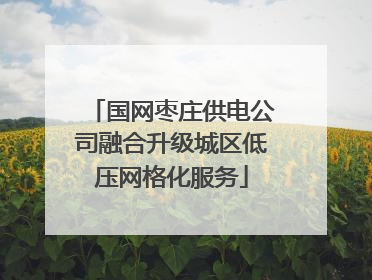 国网枣庄供电公司融合升级城区低压网格化服务