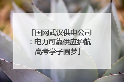 国网武汉供电公司：电力可靠供应护航高考学子圆梦
