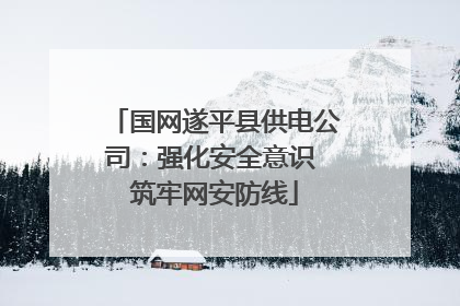 国网遂平县供电公司：强化安全意识 筑牢网安防线