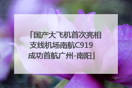 国产大飞机首次亮相支线机场南航C919成功首航广州-南阳