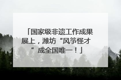 国家级非遗工作成果展上，潍坊“风筝怪才”成全国唯一！