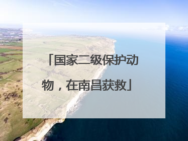 国家二级保护动物，在南昌获救