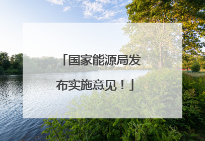 国家能源局发布实施意见！