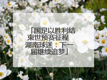 国足以胜利结束世预赛征程 湖南球迷：下一届继续追梦