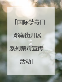 国际禁毒日 邓南街开展系列禁毒宣传活动