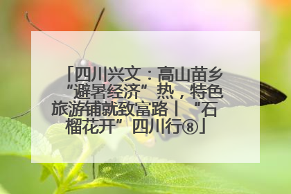 四川兴文：高山苗乡“避暑经济”热，特色旅游铺就致富路丨“石榴花开”四川行⑧