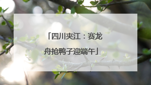 四川夹江：赛龙舟抢鸭子迎端午