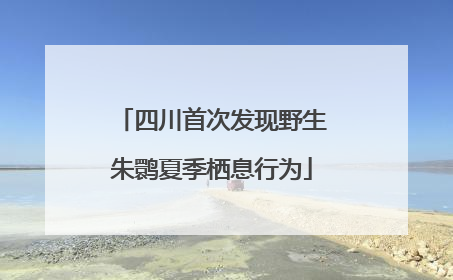 四川首次发现野生朱鹮夏季栖息行为
