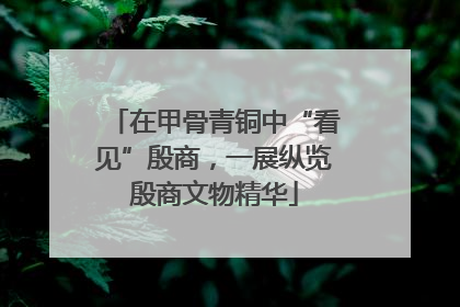 在甲骨青铜中“看见”殷商，一展纵览殷商文物精华