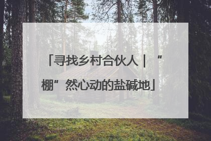寻找乡村合伙人｜“棚”然心动的盐碱地