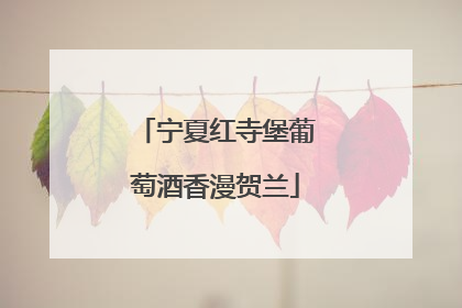 宁夏红寺堡葡萄酒香漫贺兰