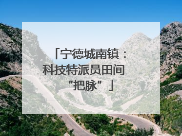 宁德城南镇：科技特派员田间“把脉”