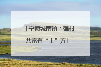 宁德城南镇：强村共富有“土”方