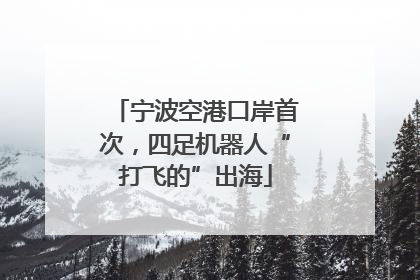 宁波空港口岸首次，四足机器人“打飞的”出海
