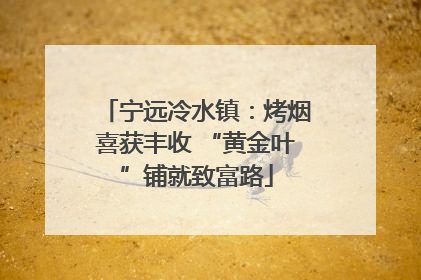 宁远冷水镇：烤烟喜获丰收 “黄金叶”铺就致富路