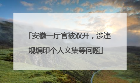 安徽一厅官被双开，涉违规编印个人文集等问题