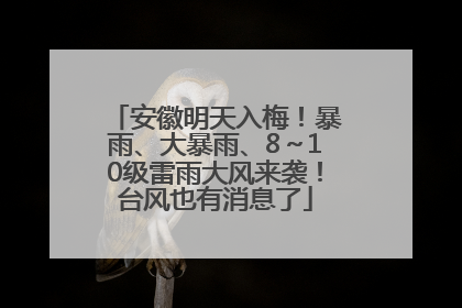 安徽明天入梅！暴雨、大暴雨、8～10级雷雨大风来袭！台风也有消息了