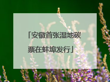 安徽首张湿地碳票在蚌埠发行