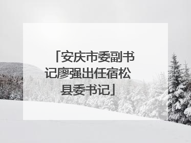 安庆市委副书记廖强出任宿松县委书记