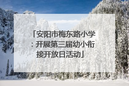 安阳市梅东路小学：开展第三届幼小衔接开放日活动