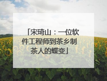 宋琦山：一位软件工程师到茶乡制茶人的蝶变