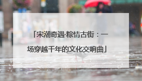 宋潮奇遇·粽情古街：一场穿越千年的文化交响曲