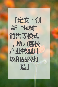定安：创新“包树”销售等模式，助力荔枝产业转型升级和品牌打造