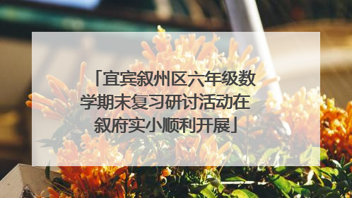 宜宾叙州区六年级数学期末复习研讨活动在叙府实小顺利开展