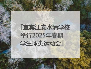 宜宾江安水清学校举行2025年春期学生球类运动会