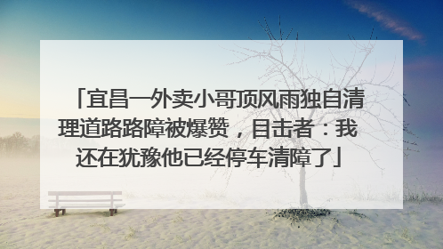 宜昌一外卖小哥顶风雨独自清理道路路障被爆赞，目击者：我还在犹豫他已经停车清障了