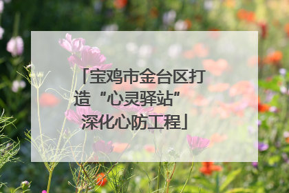 宝鸡市金台区打造“心灵驿站” 深化心防工程