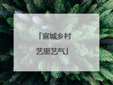 宣城乡村 艺里艺气