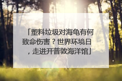 塑料垃圾对海龟有何致命伤害？世界环境日，走进开普敦海洋馆