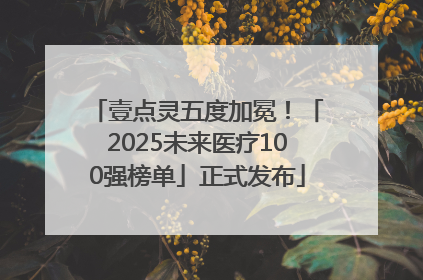 壹点灵五度加冕！「2025未来医疗100强榜单」正式发布