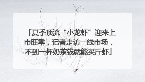 夏季顶流“小龙虾”迎来上市旺季，记者走访一线市场，不到一杯奶茶钱就能买斤虾