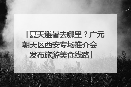 夏天避暑去哪里？广元朝天区西安专场推介会 发布旅游美食线路