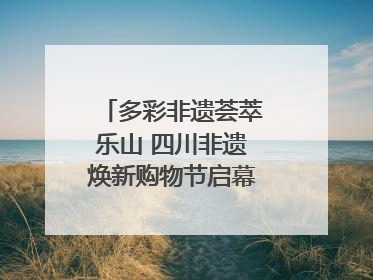 多彩非遗荟萃乐山 四川非遗焕新购物节启幕｜镜观四川