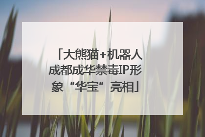 大熊猫+机器人 成都成华禁毒IP形象“华宝”亮相